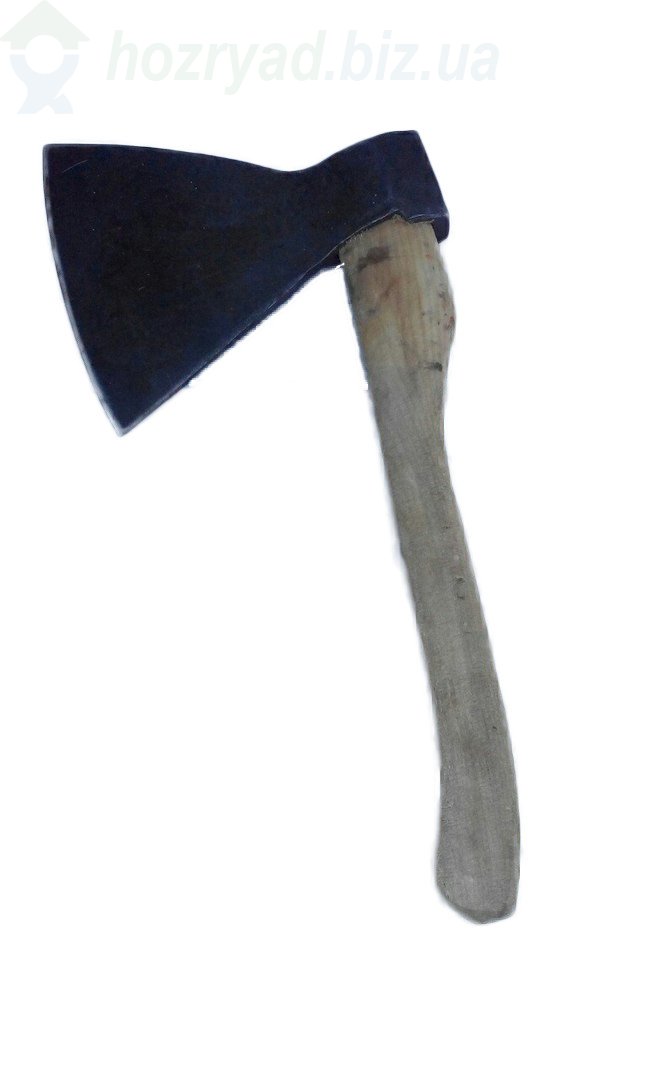    3 ,  