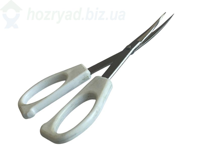  ������ ������� ���������� � ����� ����������� ������, ������ �������