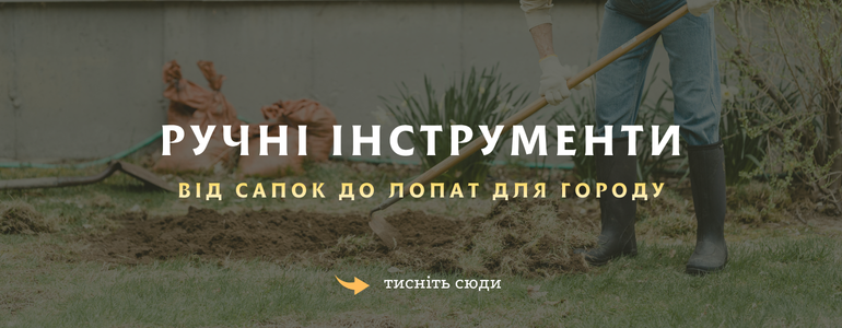 ����� ����������� - ������