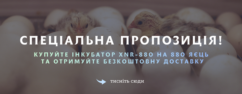 ���������� ���������� �� ��������� ������