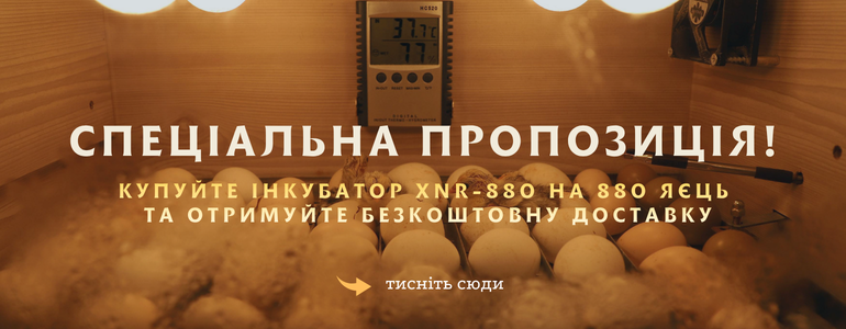 ���������� ���������� �� ��������� ������