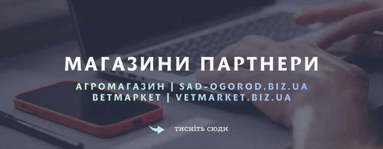 ���� ������ �������� � ��������!