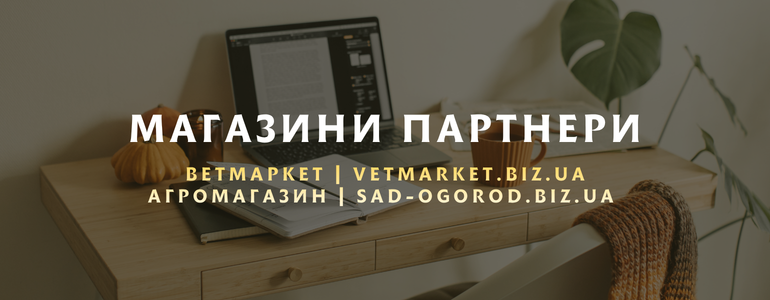 ���� ������ �������� � ��������!