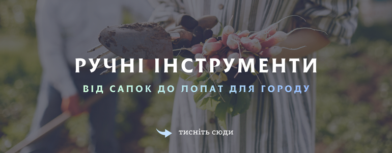 ����� ����������� - ������